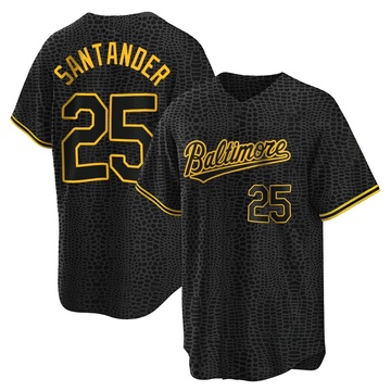 Anthony Santander Baltimore Orioles Women's Backer Slim Fit T-Shirt - Ash